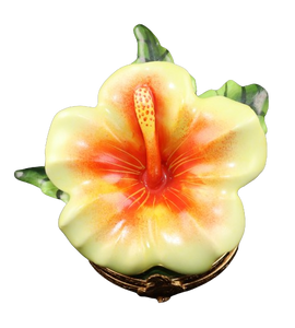 SKU# 3529 - Hawaian Hibiscus