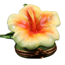 Load image into Gallery viewer, SKU# 3529 - Hawaian Hibiscus
