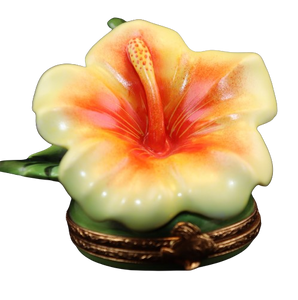 SKU# 3529 - Hawaian Hibiscus