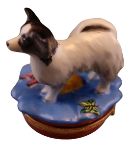 SKU# 3638 - Papillon Dog: Black and White