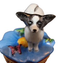 Cargar imagen en el visor de la galería, SKU# 3638 - Perro Papillon: Blanco y negro
