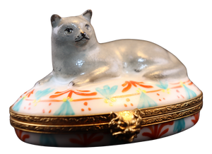 SKU# 6031 - British Blue Shorthair cat