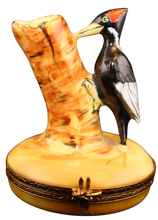 Load image into Gallery viewer, SKU# 6288 - Black Woodpecker
