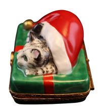 Load image into Gallery viewer, SKU# 7124 - Santa Cat
