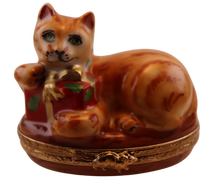 Load image into Gallery viewer, SKU# 7368 - Orange Tabby With Present
