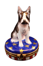 Lade das Bild in den Galerie-Viewer, Artikelnummer 7781 – Patriotischer Boston Terrier
